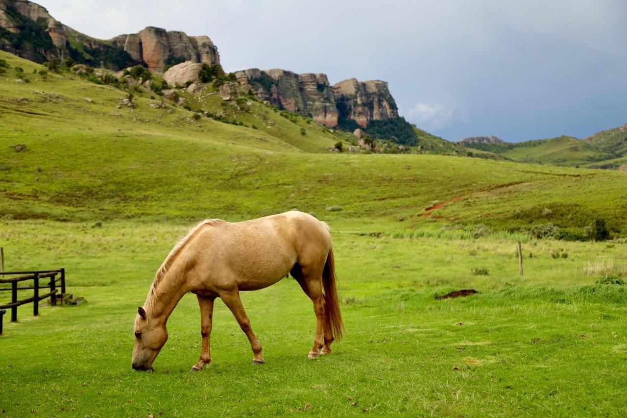 Greenfire Drakensberg Lodge Bonjaneni Экстерьер фото